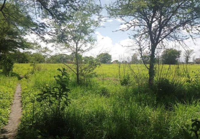 10-acre-plot-for-sale-in-mikango-barracks-big-1