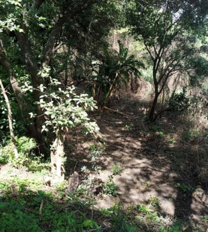 10-acre-plot-for-sale-in-mikango-barracks-big-3