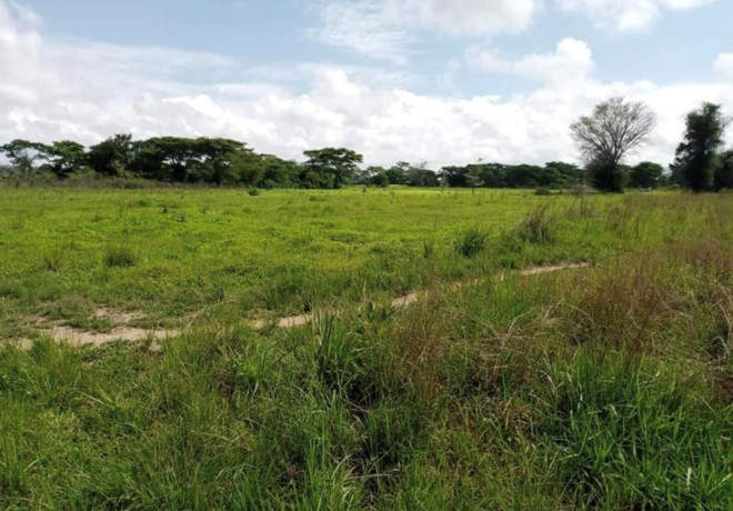 10-acre-plot-for-sale-in-mikango-barracks-big-0