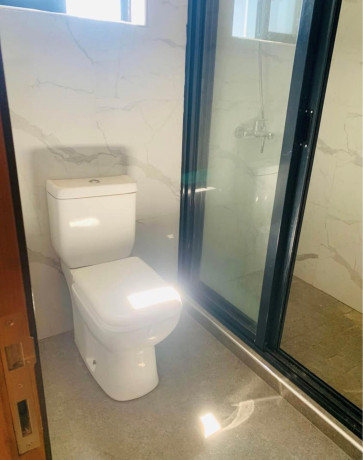 4-bedroom-house-for-rent-in-new-kasama-big-4