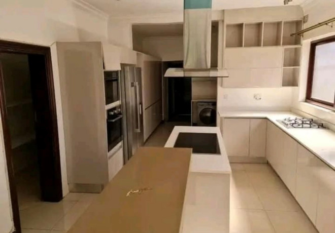 3-bedroom-house-for-rent-in-roma-park-big-3