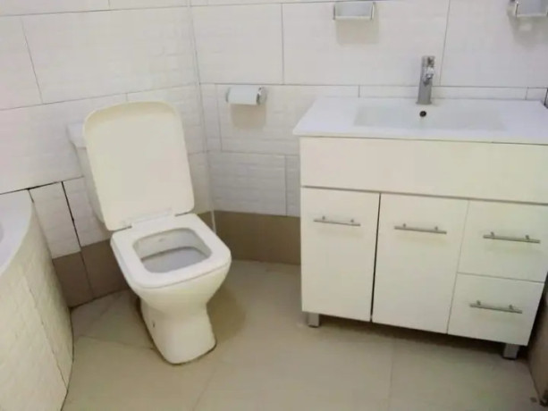 4-bedroom-house-for-rent-in-salama-park-big-6