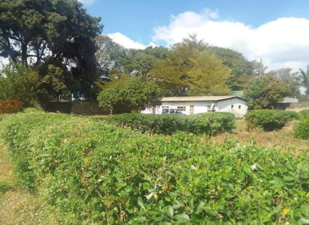 spacious-4-bedroom-house-in-rhodes-park-for-sale-big-4