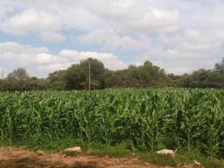 4-bedroom-house-for-sale-in-lusaka-west