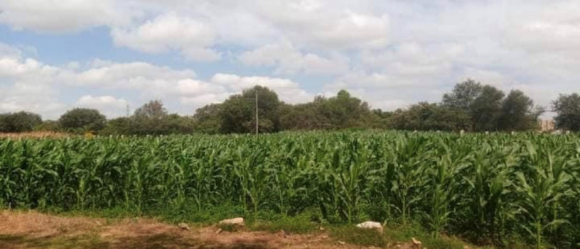 4-bedroom-house-for-sale-in-lusaka-west-big-0