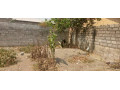 plot-for-sale-in-kamwala-south-small-3
