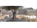 plot-for-sale-in-kamwala-south-small-1