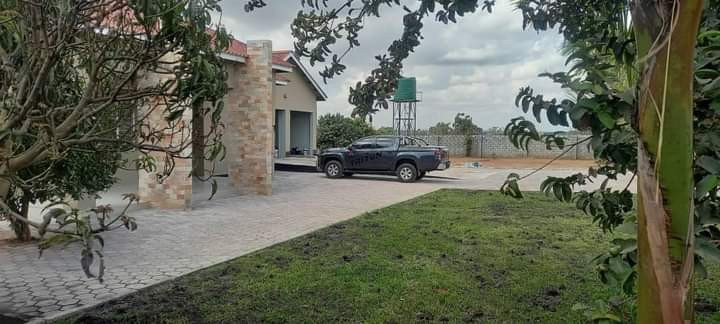 4-bedroom-house-for-rent-in-silverest-big-7