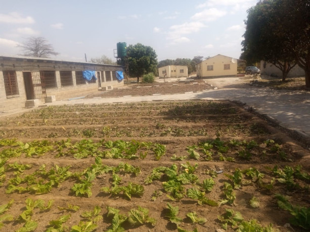 3-bedroom-house-for-rent-in-silverest-big-5