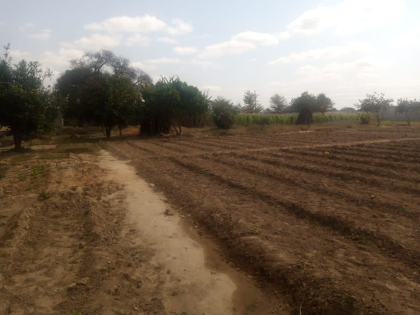 3-bedroom-house-for-rent-in-silverest-big-6