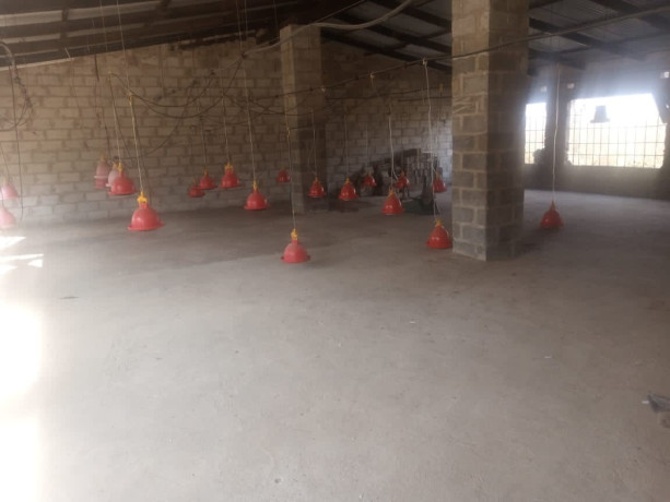 3-bedroom-house-for-rent-in-silverest-big-3