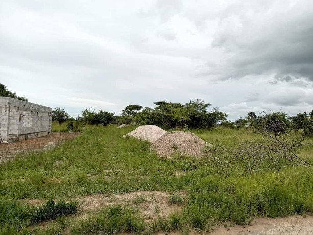 plots-for-sale-in-silverest-big-2