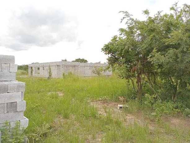 3-plots-for-sale-in-silverest-big-0
