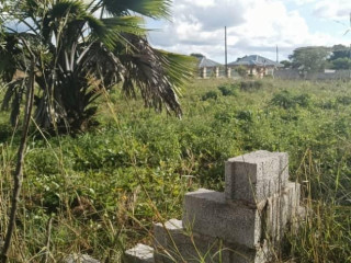 plot-for-sale-in-silverest