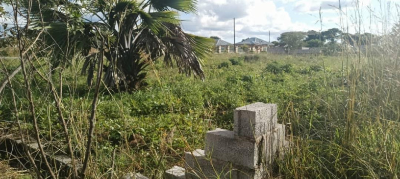 plot-for-sale-in-silverest-big-0