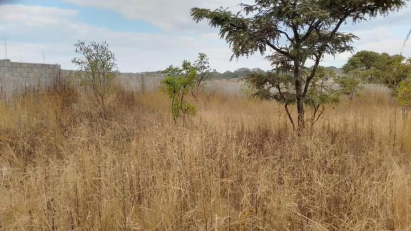 plot-for-sale-in-state-lodge-big-1