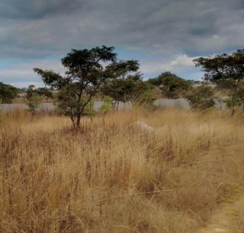 plot-for-sale-in-state-lodge-big-2