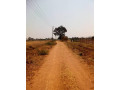 plot-for-sale-in-makeni-small-0