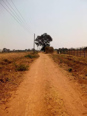 plot-for-sale-in-makeni-big-0
