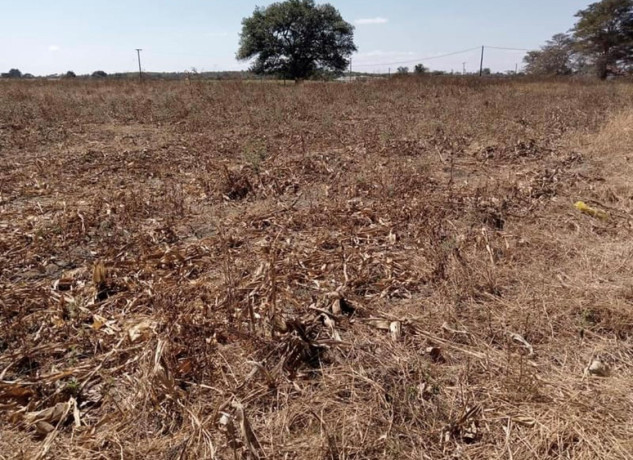 15-acre-plot-for-sale-in-ngwerere-big-0