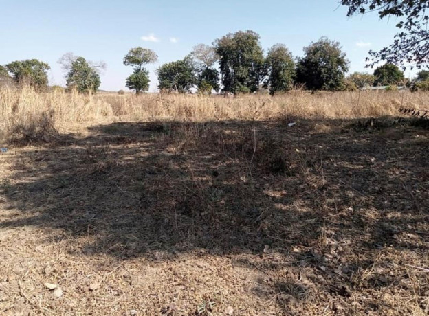 15-acre-plot-for-sale-in-ngwerere-big-5