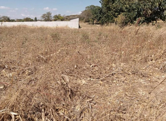 15-acre-plot-for-sale-in-ngwerere-big-4