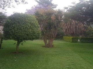 3-acres-of-land-for-sale-in-kafue
