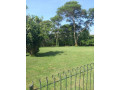 5-acres-land-for-sale-in-eureka-park-small-5