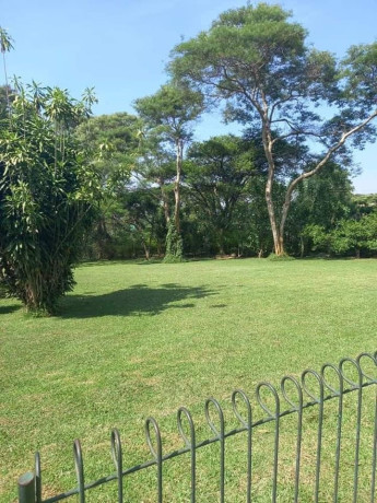 5-acres-land-for-sale-in-eureka-park-big-5