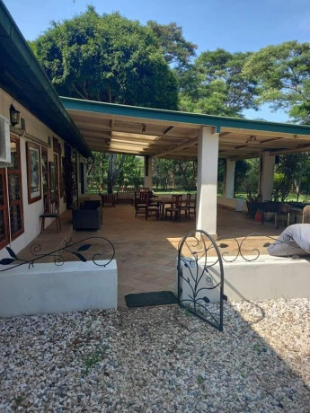 5-acres-land-for-sale-in-eureka-park-big-1