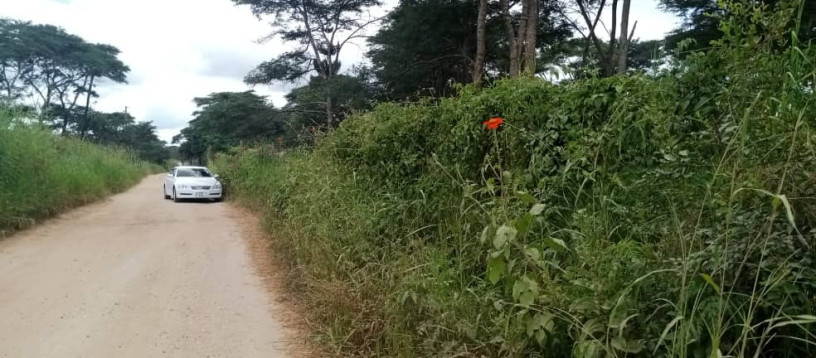 land-for-sale-in-state-lodge-big-3