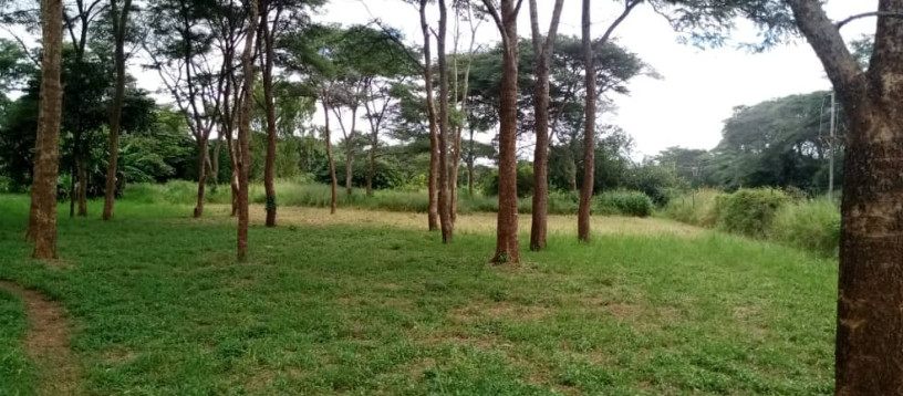 land-for-sale-in-state-lodge-big-2