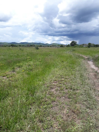 25-hectares-farm-for-sale-in-mikango-barracks-big-6