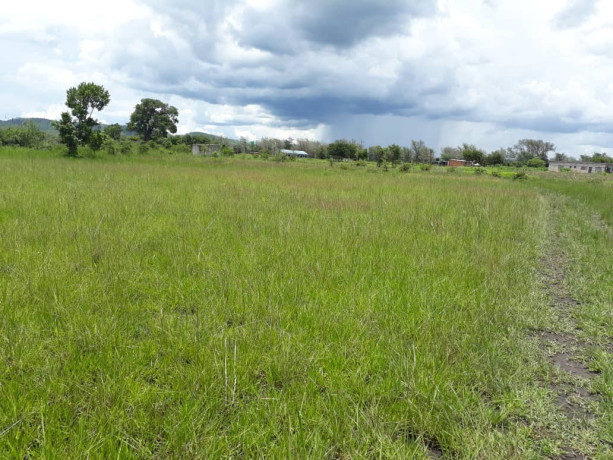 25-hectares-farm-for-sale-in-mikango-barracks-big-3