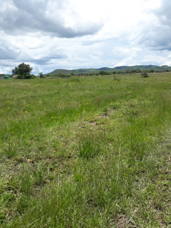 25-hectares-farm-for-sale-in-mikango-barracks-big-7