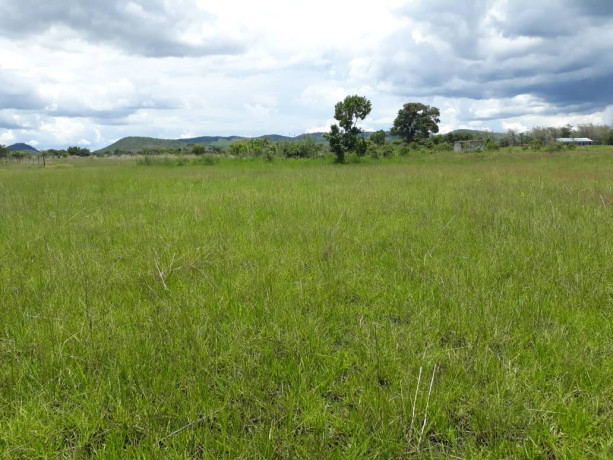 25-hectares-farm-for-sale-in-mikango-barracks-big-2
