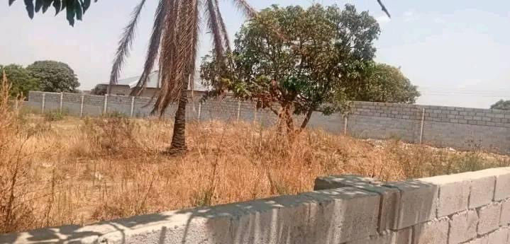 30m-by-30m-plot-for-sale-in-chalala-big-1
