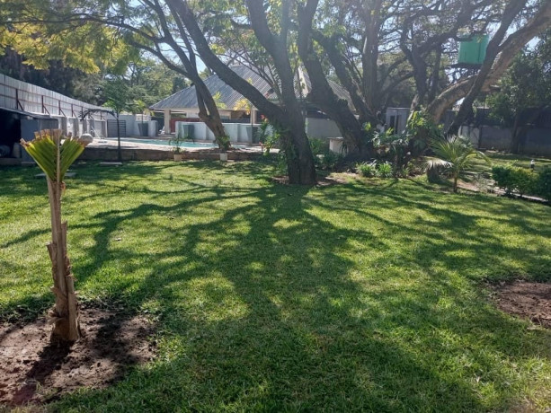 2-bedroom-apartments-for-rent-in-roma-big-3