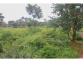 60-x-30-plot-for-sale-in-chelstone-small-3