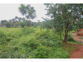 60-x-30-plot-for-sale-in-chelstone-small-5