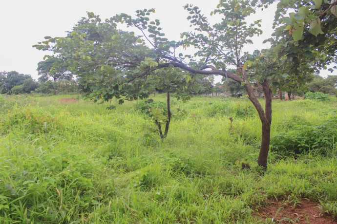 60-x-30-plot-for-sale-in-chelstone-big-2