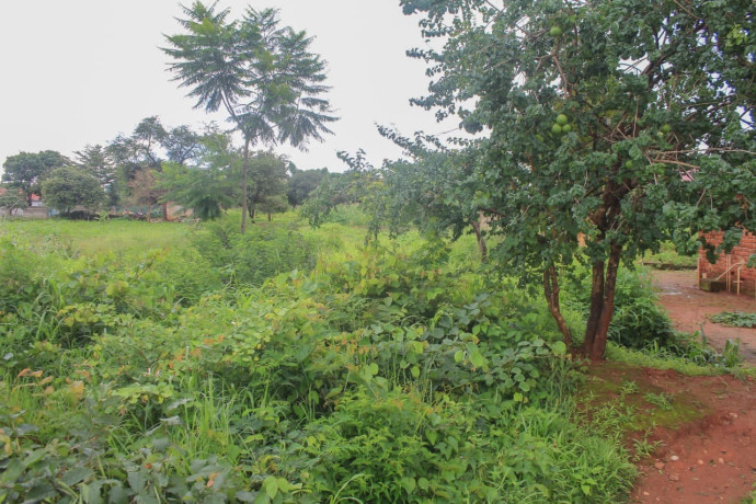 60-x-30-plot-for-sale-in-chelstone-big-5