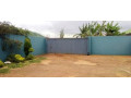 2-bedroom-house-for-rent-in-salama-park-small-4