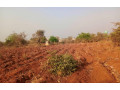 plot-for-sale-in-lilayi-small-0