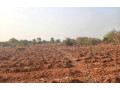plot-for-sale-in-lilayi-small-1