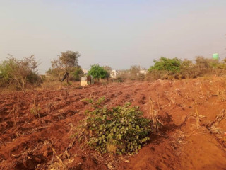 plot-for-sale-in-lilayi