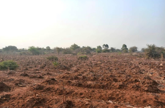 plot-for-sale-in-lilayi-big-2