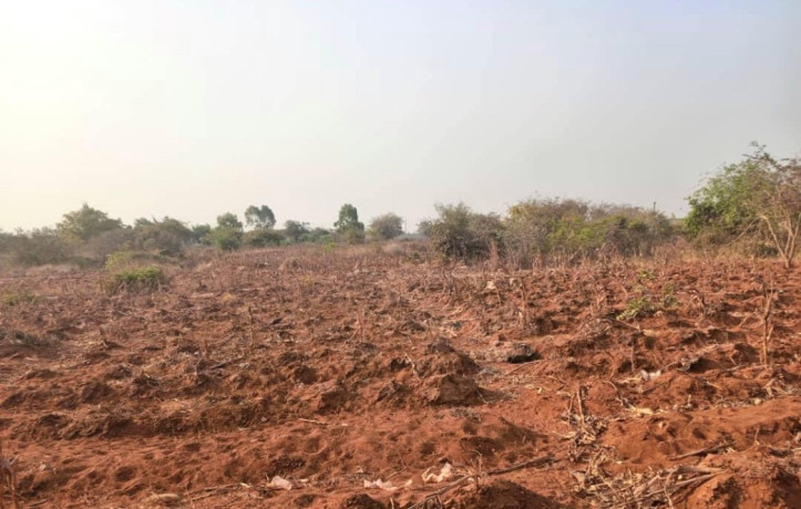 plot-for-sale-in-lilayi-big-1