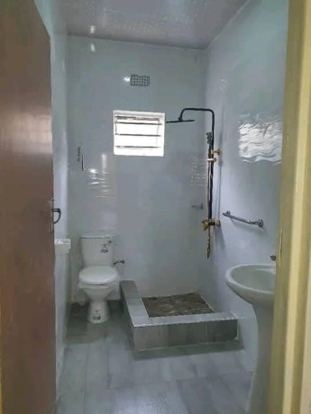 newly-built-2-bedroom-flats-for-sale-in-mutendere-big-3