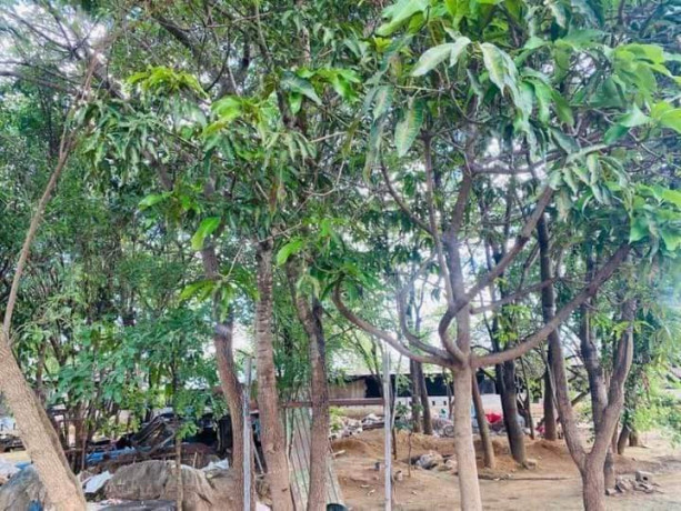 9-bedroom-house-for-sale-in-chalala-big-4